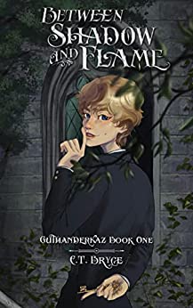 "Between Shadow and Flame" is a wonderful story that dabbles in various genres, including fantasy, magic, witches, wizards, dark fantasy, coming-of-age stories for teens and young adults, and a hint of dystopian themes.